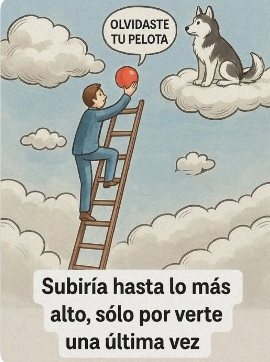 🐶🐶🐶🐶🐶🐶🐶🐶🐶🐶🐶🐶🐶