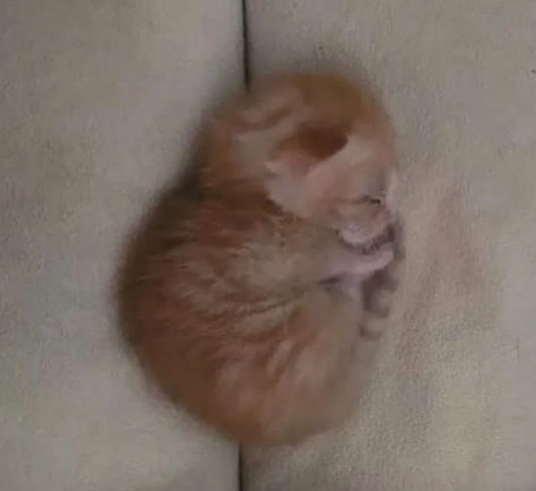 sorry for posting so many weird sad scribbles lately. i swear i will post some Good Art too