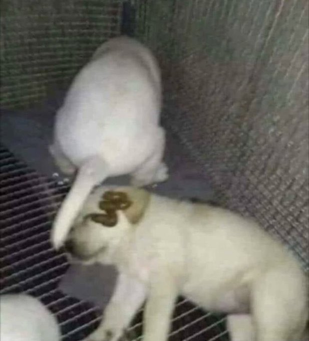 cuando
cuando pienso que esta vez es distinto pero pasa algo que me hace dar cuenta que otra vez estoy repitiendo patrones