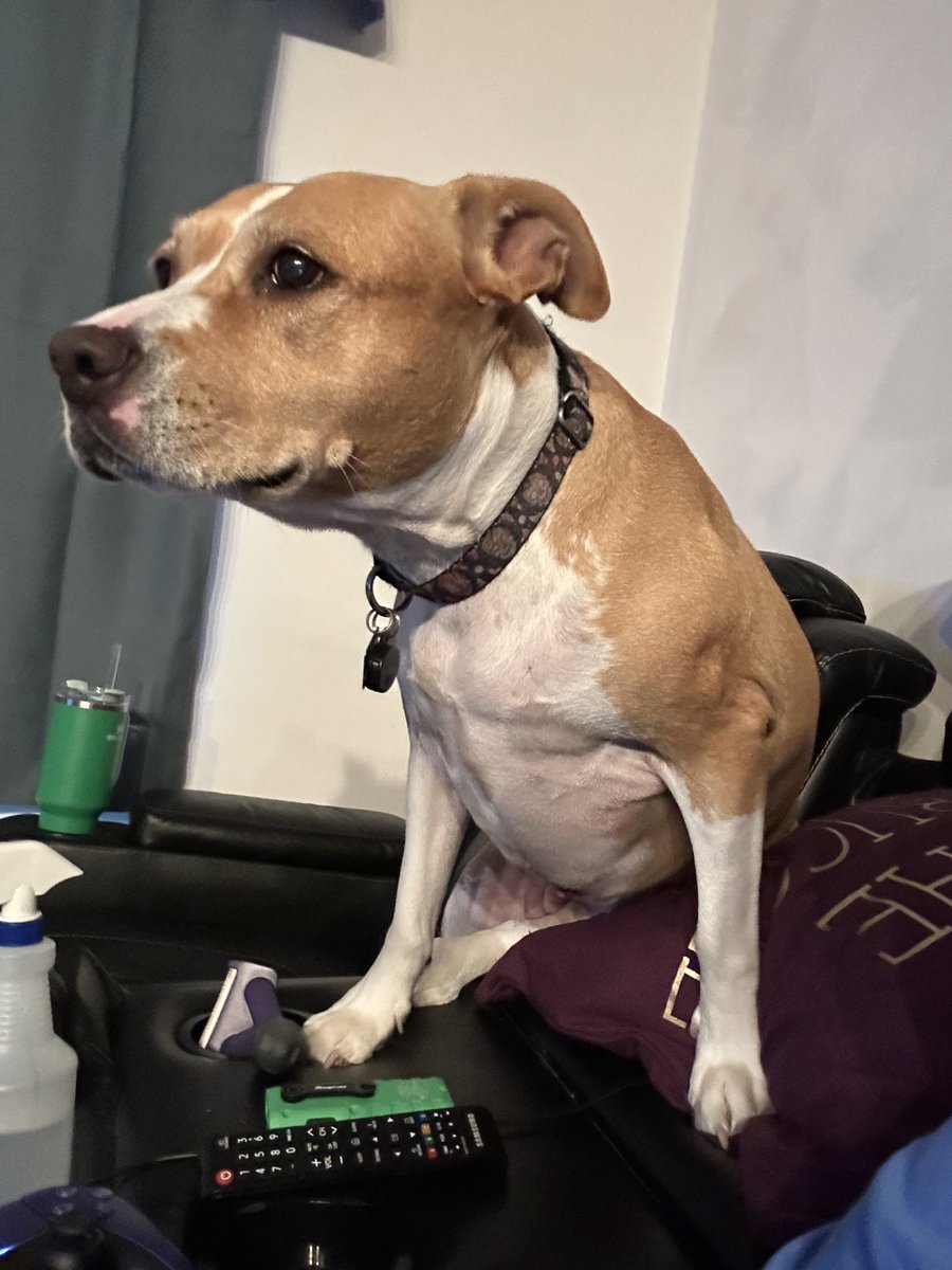 rest in peace cali girl. you were my best friend, my rock, my everything. i'll miss you so much. see you on the other side.