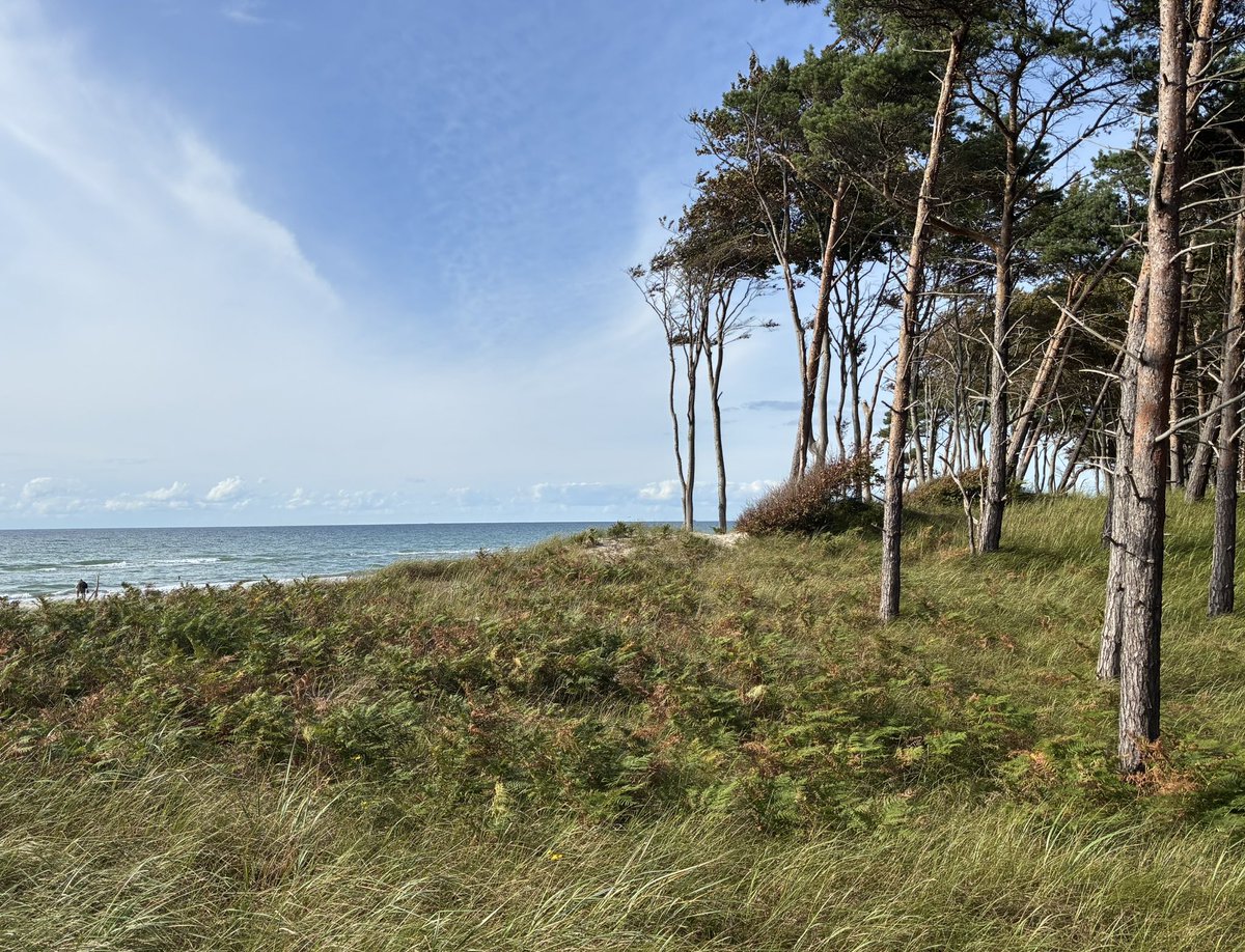 Weststrand a. Darß ♥️