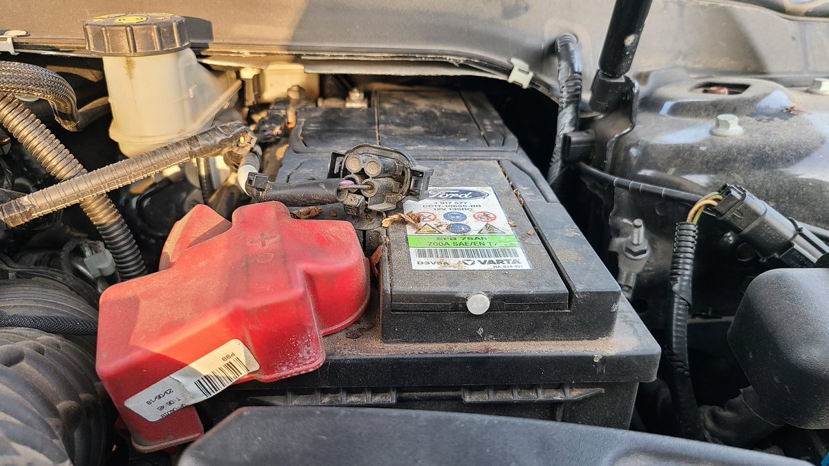 TheSedated (@thesedated) on Twitter photo Hey, <a href="/MaximalesD/">Maximales Drehmoment</a>, sag' mal, kommt es mir nur so vor, oder muss ich beim Mondeo 5 ernsthaft Luftfilter samt Gehäuse ausbauen, um die Batterie da rauszuholen? Und warum sitzt der Minuspol so blöd, dass ich den nicht abkriege, ohne meine Hände obendrüber an der Lippe zu skalpieren? Hey, <a href="/MaximalesD/">Maximales Drehmoment</a>, sag' mal, kommt es mir nur so vor, oder muss ich beim Mondeo 5 ernsthaft Luftfilter samt Gehäuse ausbauen, um die Batterie da rauszuholen? Und warum sitzt der Minuspol so blöd, dass ich den nicht abkriege, ohne meine Hände obendrüber an der Lippe zu skalpieren?