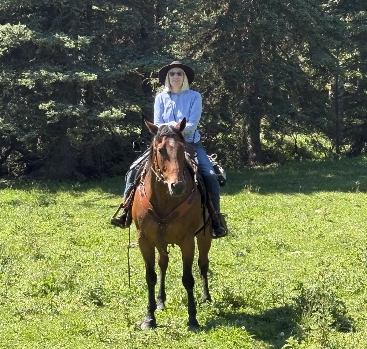 In all my years never seen Alberta so green in August. Wish I could send some of our rain east. Boone was a very good boy today, even in the mud.