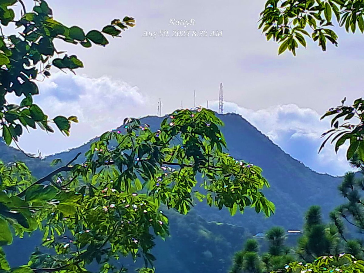 SonjahStanley's tweet image. In the mountains 😃#TuesdayScenes #catherinespeak #bluemountains @jahmekyagyal