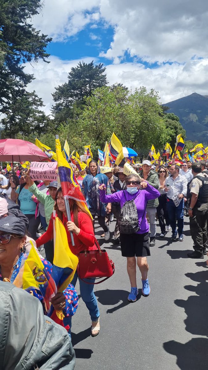 DPalaciosEc's tweet photo. Gracias Ecuador, por marchar hoy #FirmesPorEcuador. 🇪🇨💜 https://t.co/Zv1k6HOHTw