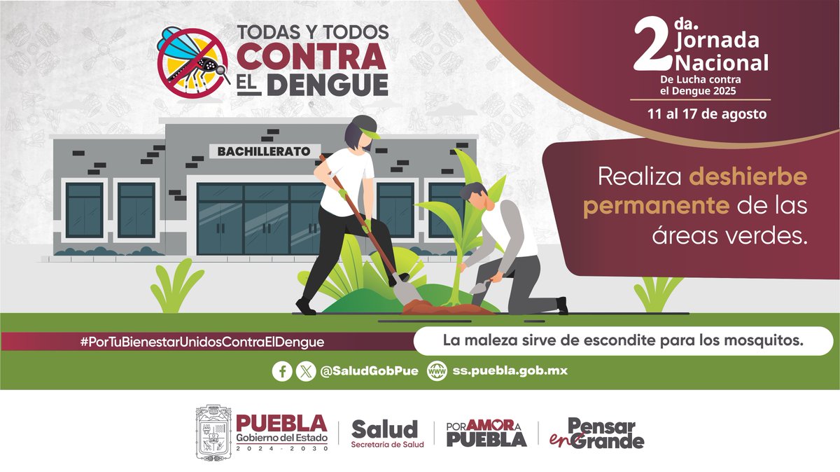 Revisa bien los jardines 🌳, ya que la maleza 🌿 puede servir como refugio 🏚️ para el mosquito 🦟 transmisor del dengue y como alimento para los mosquitos machos.
#PorTuBienestarUnidosContraElDengue
<a href="/Gob_Puebla/">Gobierno de Puebla</a> #PorAmorAPuebla #PensarEnGrande