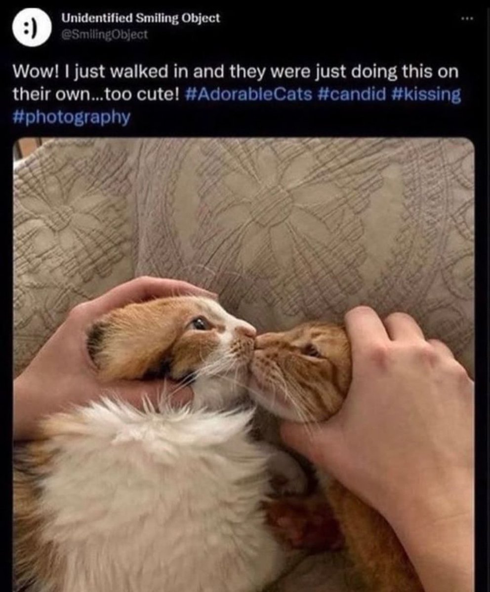 eji (@elijalt) on Twitter photo 