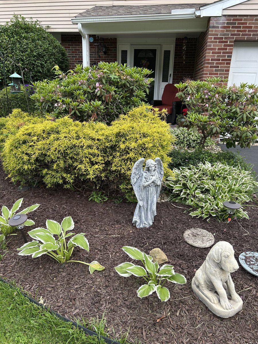 I am not a closet republican I vote red just because of Trump. He needs the house and the Senate.