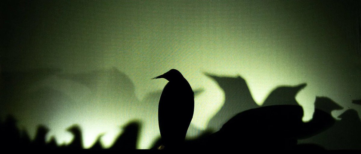 Blue Raincoat Theatre’s ‘Hunting Darwin’ - the story of the ‘worst journey in the world’ during Scott’s Antarctic expedition - is puppetry of a calibre which conveys both desolation and heroism in 40 action-packed minutes. Unmissable! <a href="/SligoRaincoats/">Blue Raincoat Theatre Company</a> <a href="/artscouncil_ie/">The Arts Council / An Chomhairle Ealaíon</a> <a href="/SligosBuzzin/">Sligo'sBuzzin</a>