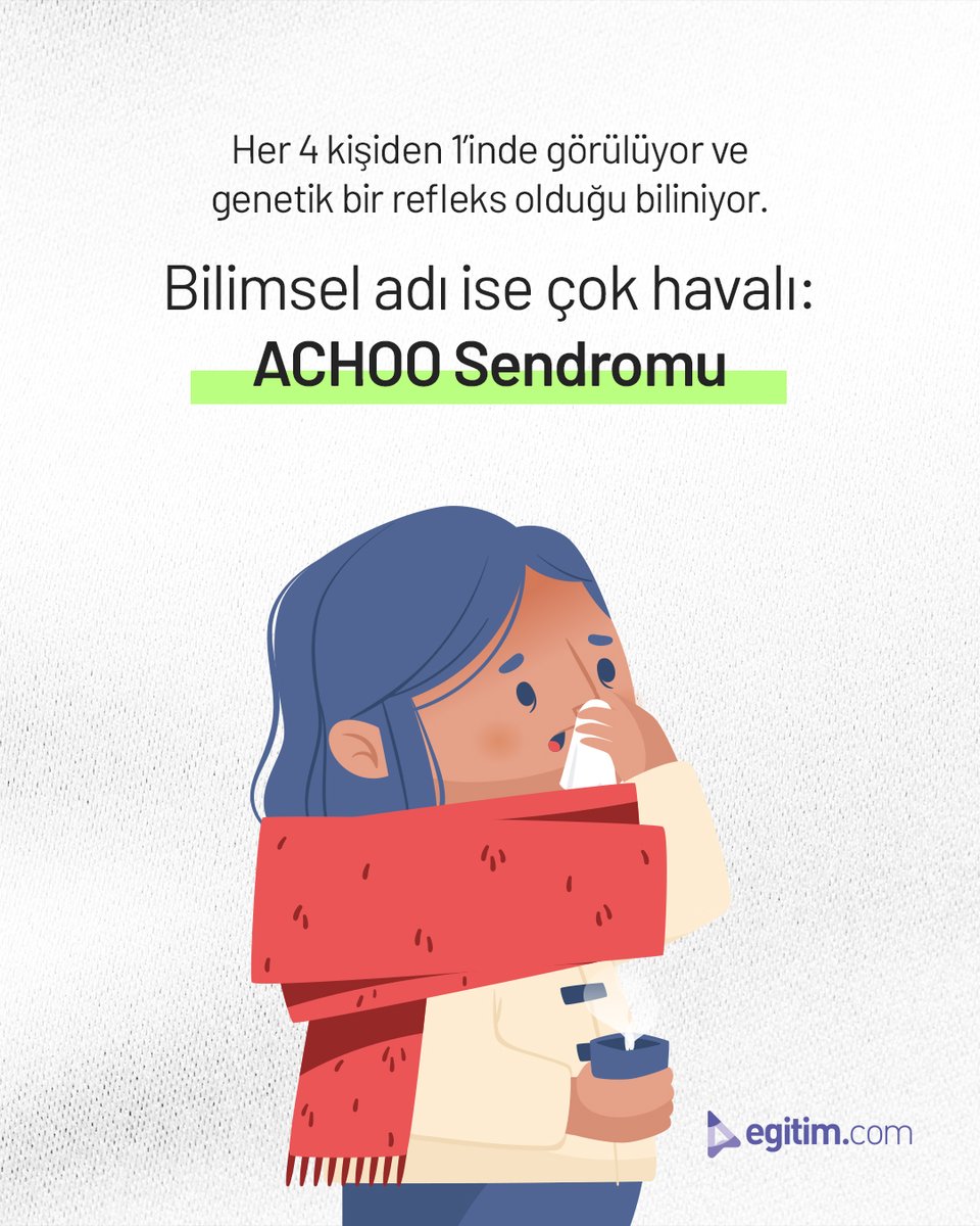 egitim_com's tweet image. Gözünden gelen sinyal burnunu kandırıyor.

Sonuç: Refleks gibi refleks! 🤧

#Egitimcom #EğitimeDeğer #BilimZamanı #ACHOOSendromu #Hapşırmak #PhoticSneeze