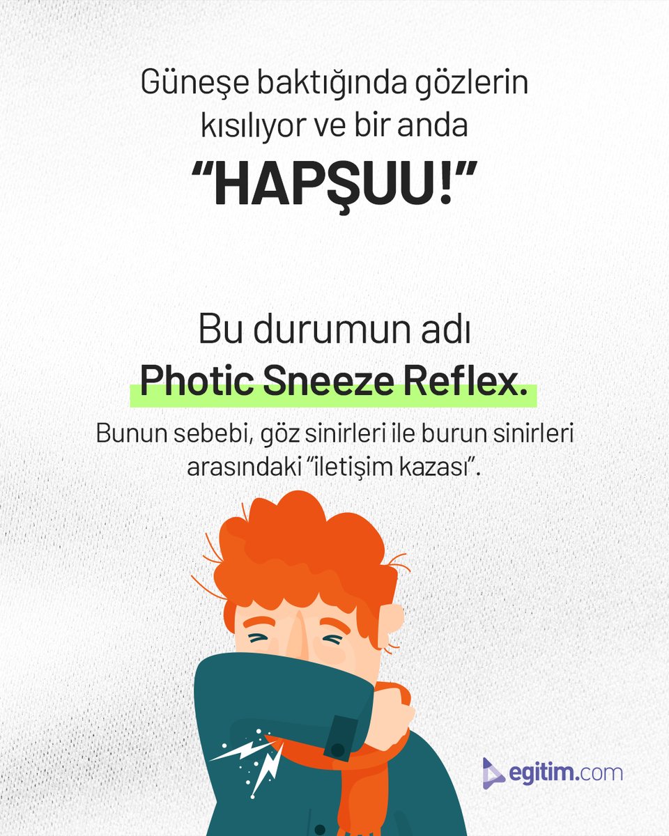 egitim_com's tweet image. Gözünden gelen sinyal burnunu kandırıyor.

Sonuç: Refleks gibi refleks! 🤧

#Egitimcom #EğitimeDeğer #BilimZamanı #ACHOOSendromu #Hapşırmak #PhoticSneeze