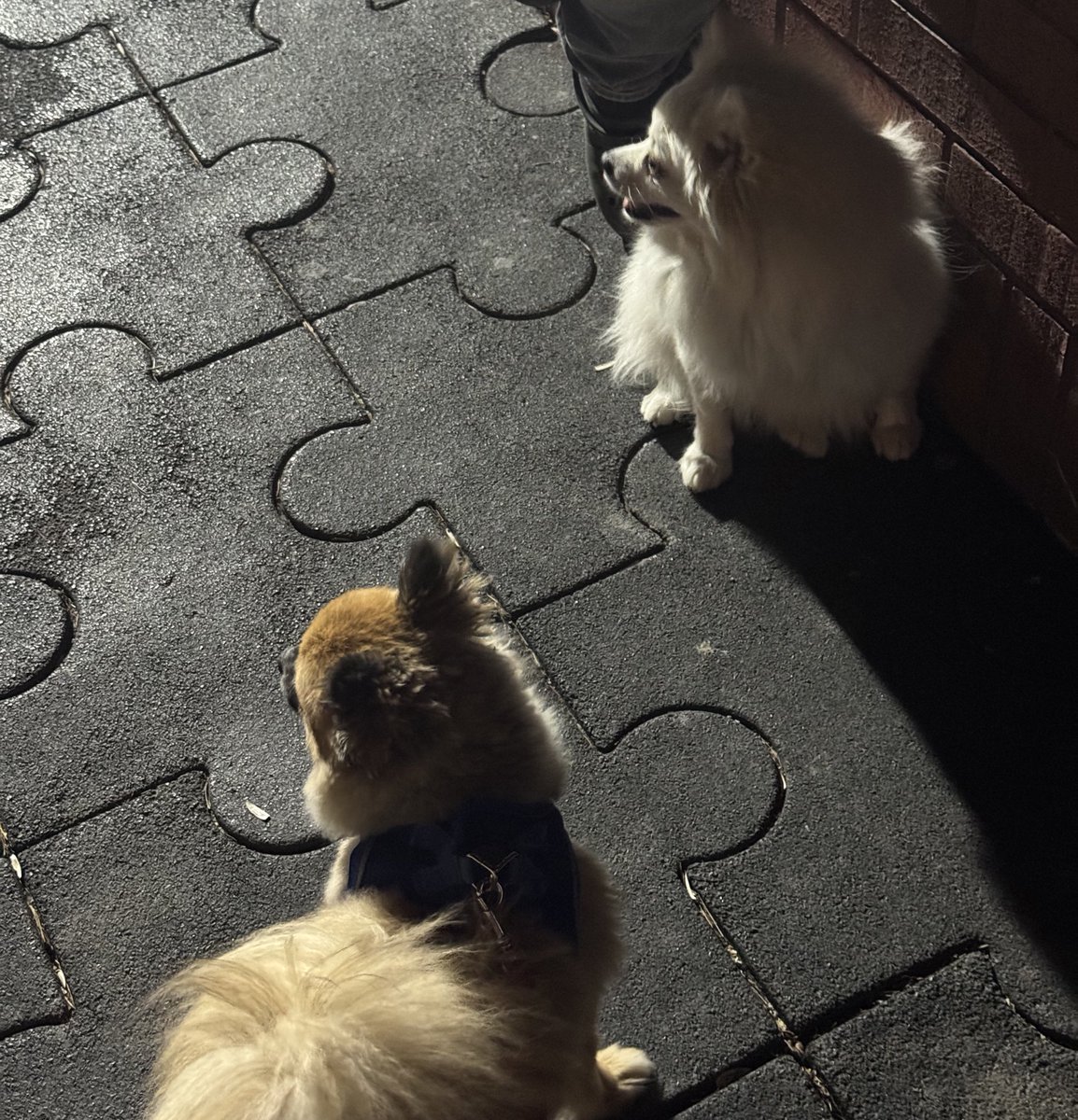 Benim oğlan yine yakaladı