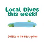 Photo by Aquatic Adventures, Inc. (@diveaai)