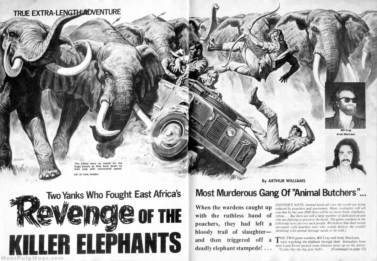 Aug. 12 is World Elephant Day. It reminded me of this illustration from TRUE ACTION, Feb. 1973. Lord knows elephants deserve to get some revenge. Art by the late, great Earl Norem. You can read my homage to Earl in the post on my blog at this link -&gt; bit.ly/4fzEc9J