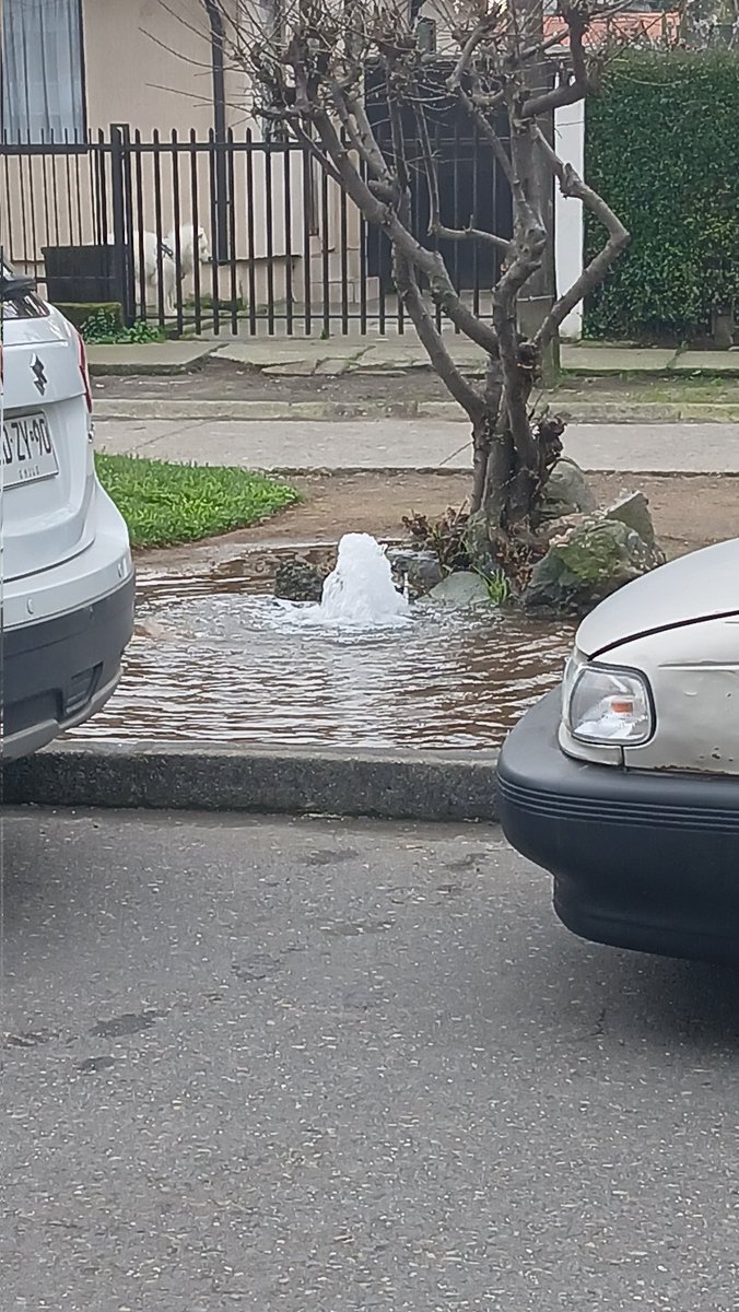 Ticko21's tweet photo. @essbio rotura en calle Isabel Riquelme esquina Manuel Rodriguez en la comuna de Chiguayante.... a un costado del Colegio Aurora de Chile https://t.co/bbtEnpeZxJ