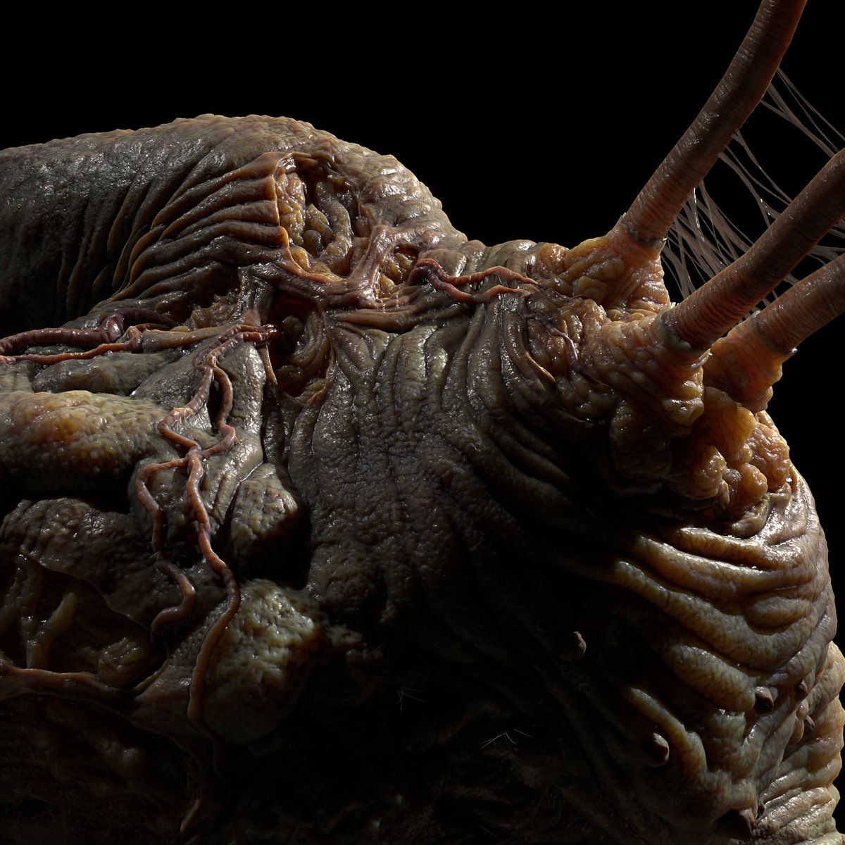 a few renders of my flood model