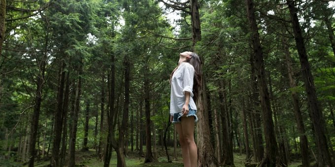 Bilim: Doğaya maruz kalmak:

- Kan basıncını düşürür.
- Anksiyete ve depresyonu azaltır.
- Bağışıklık fonksiyonunu güçlendirir (NK hücrelerini artırır).
- Konsantrasyonu ve yaratıcılığı geliştirir.

Başlayabilirsiniz: Günde 20-30 dakika açık havada, sadece parklarda yürümek bile.