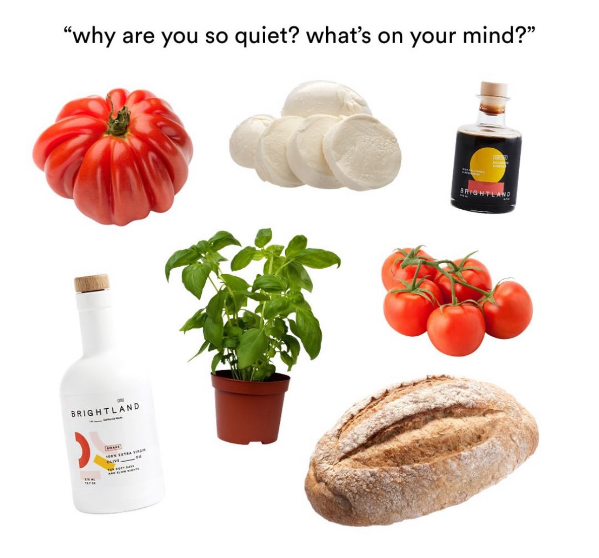 Respectful Memes (@respectfulmemes) on Twitter photo 