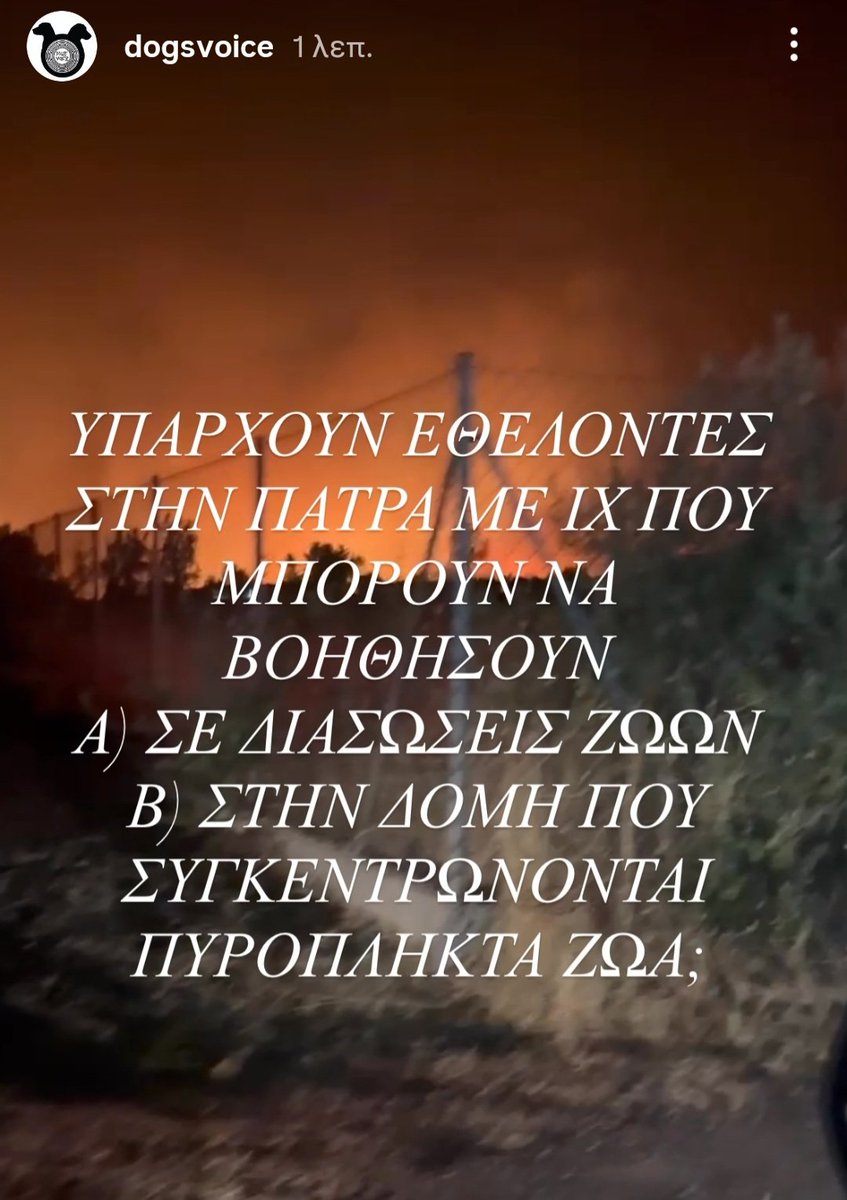 Chrisafina1's tweet photo. 🆘🆘🆘🆘 #φωτιά #πυρκαγιά
Ανάγκη για εθελοντές στην #Πάτρα
#dogsvoice https://t.co/0chNGpjBgL