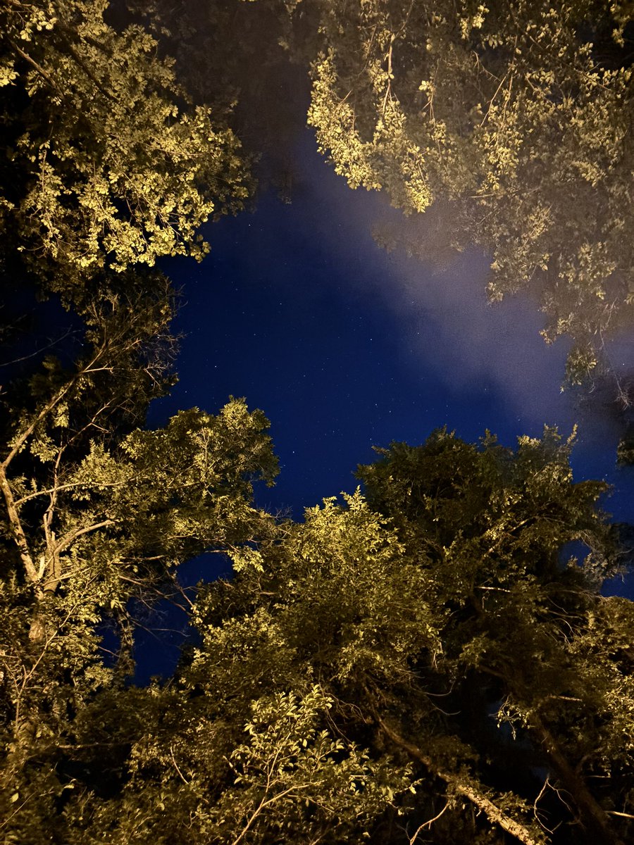 キャンプに来てます🏕️
北海道の山の夜はもう肌寒かった…🍂
日中は暑いけどな🏕️