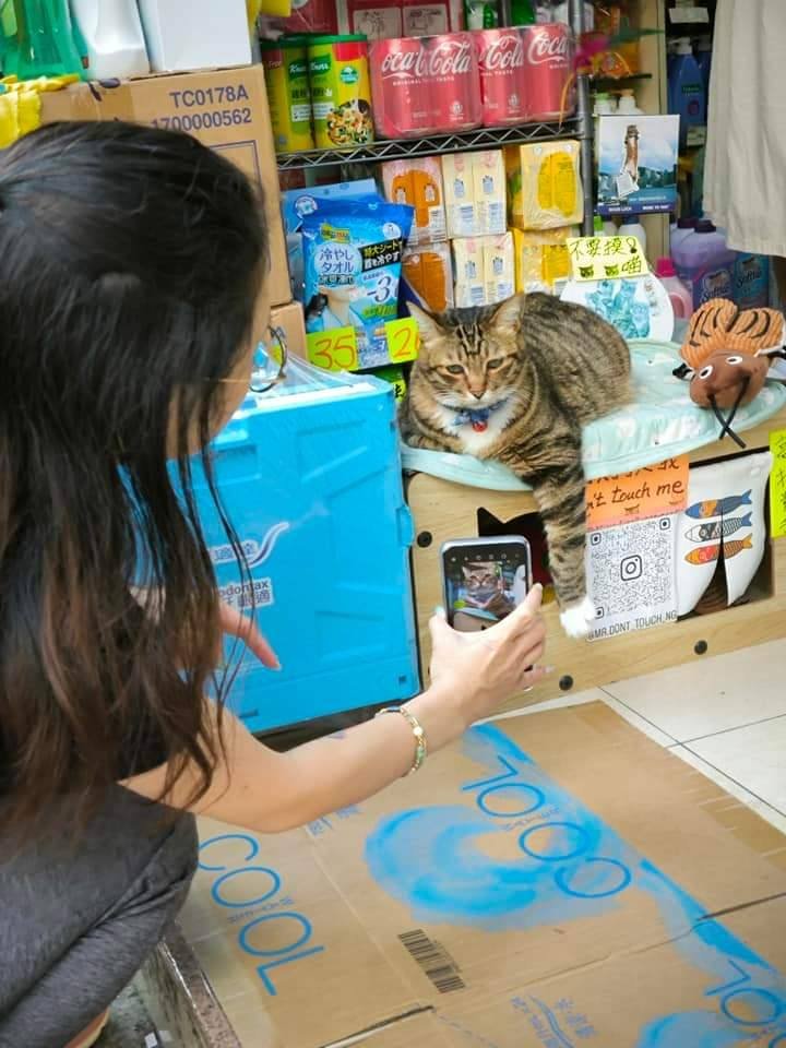 CatWorkers's tweet photo. It's not easy being famous. https://t.co/h5tcpv1lUw