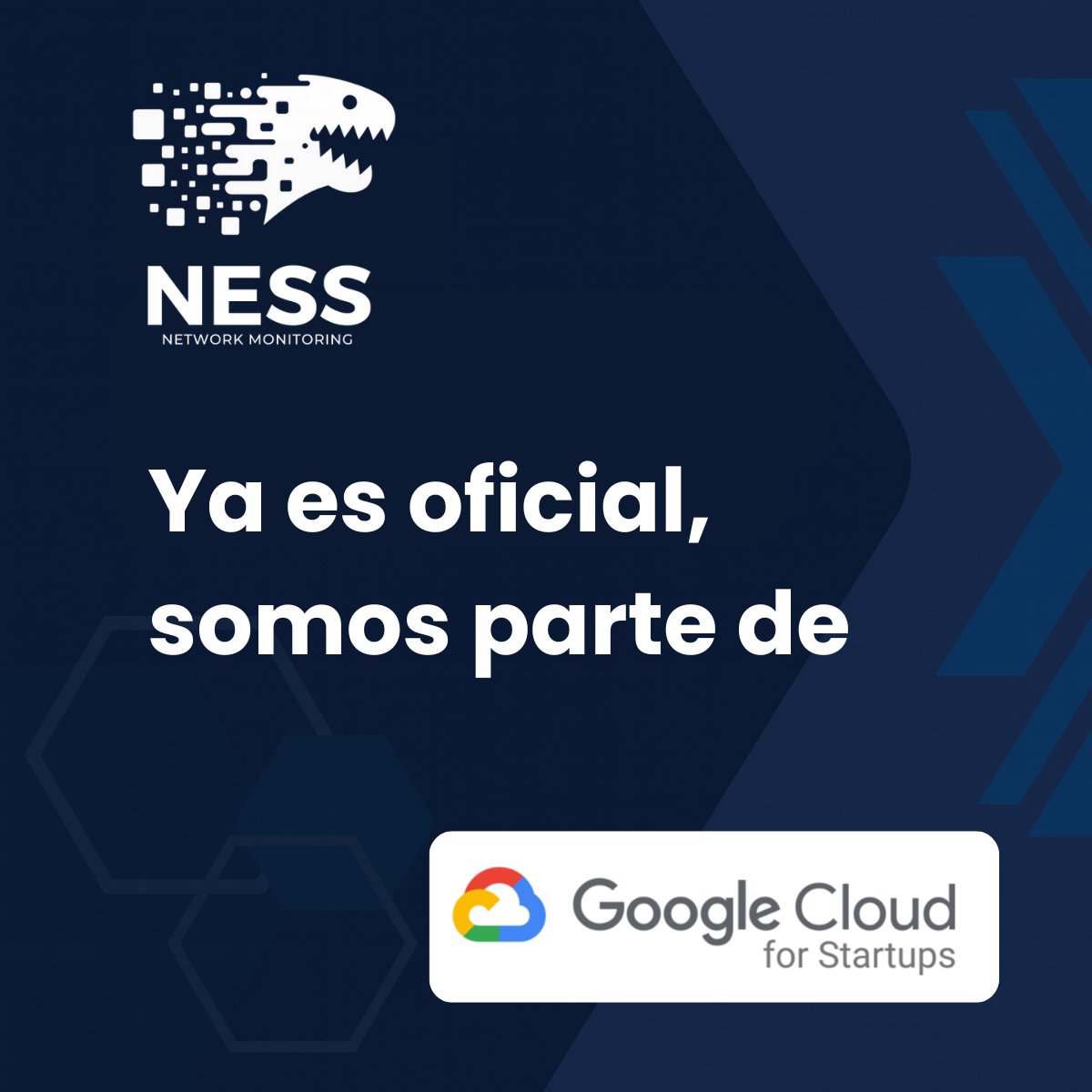 David Vega Zárate tweet media