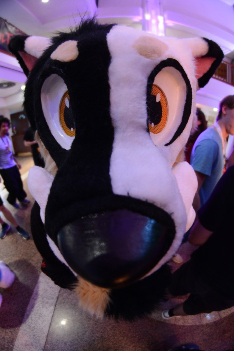 Most decent photos from #awoostria2025.
Enjoy, or dont. It's a free world.