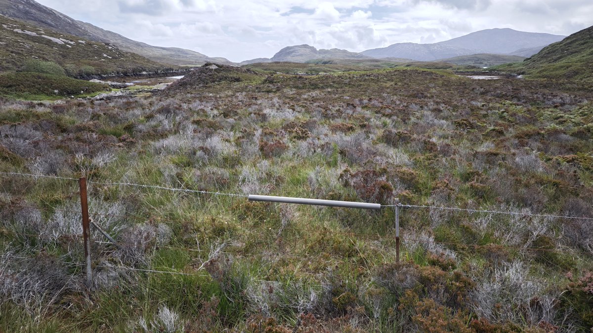 stilegasm's tweet photo. A bit of tubing over a low barbed wire fence can a stile make (as long as the fence really is low enough). One of my favourite stile genres. These are the haikus of the stile world. https://t.co/gzp7I4qm3P