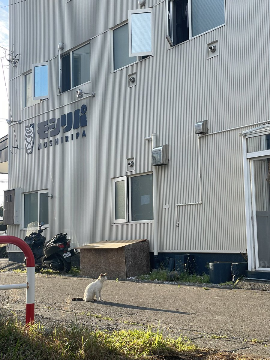 モシリパの朝。
ネコが静かに過ごしていました。

おはようございます。