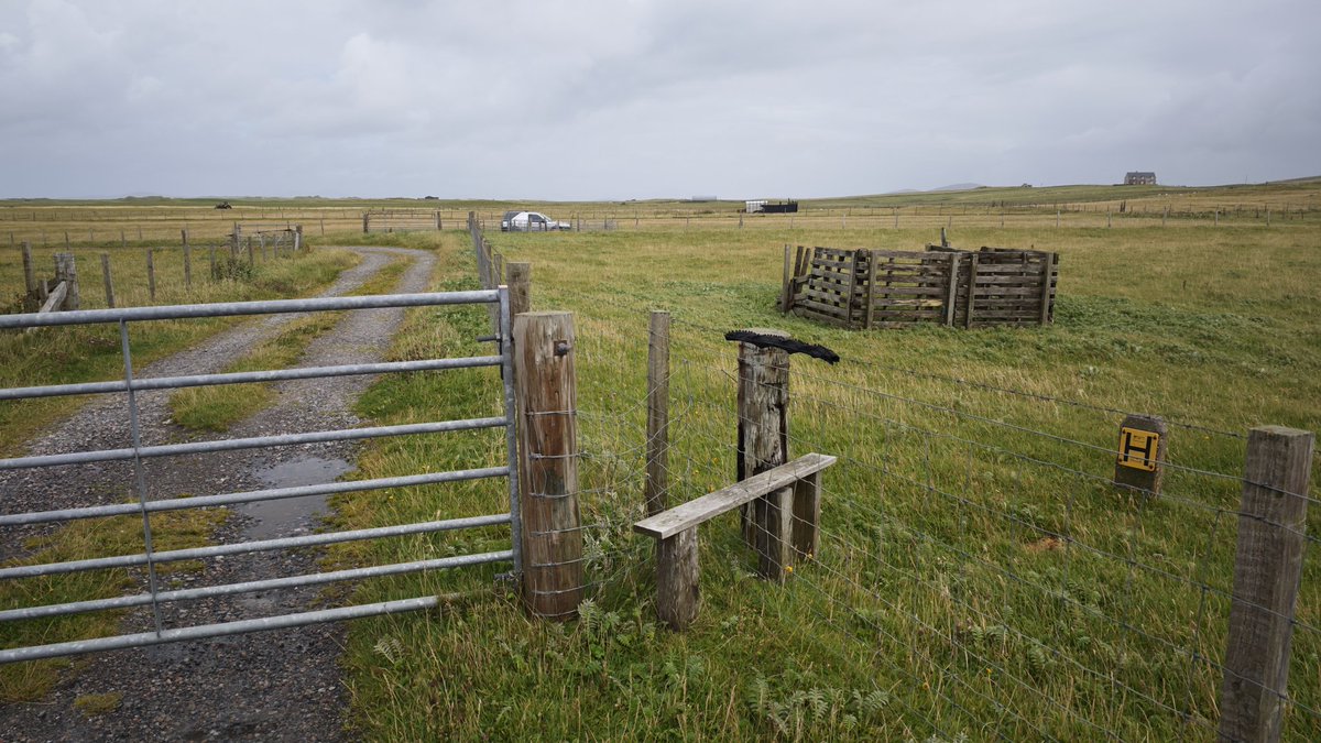 stilegasm's tweet photo. Farmer's-own field-access stile on North Uist. Stunning machair beyond the gate. https://t.co/xtz6sbSNWe