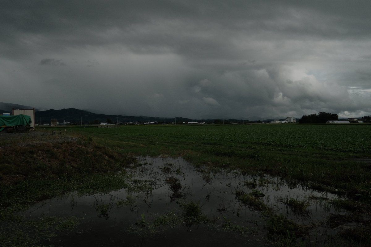 𝚖𝚘𝚗𝚔𝚢𝙳𝙸𝙾 (@monkydio) on Twitter photo 