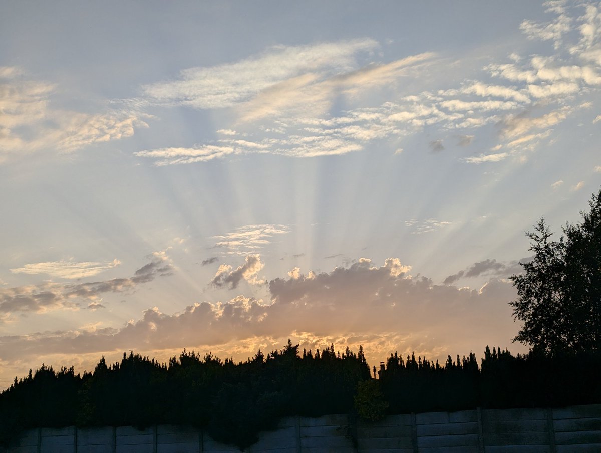 Jean Hensey tweet media