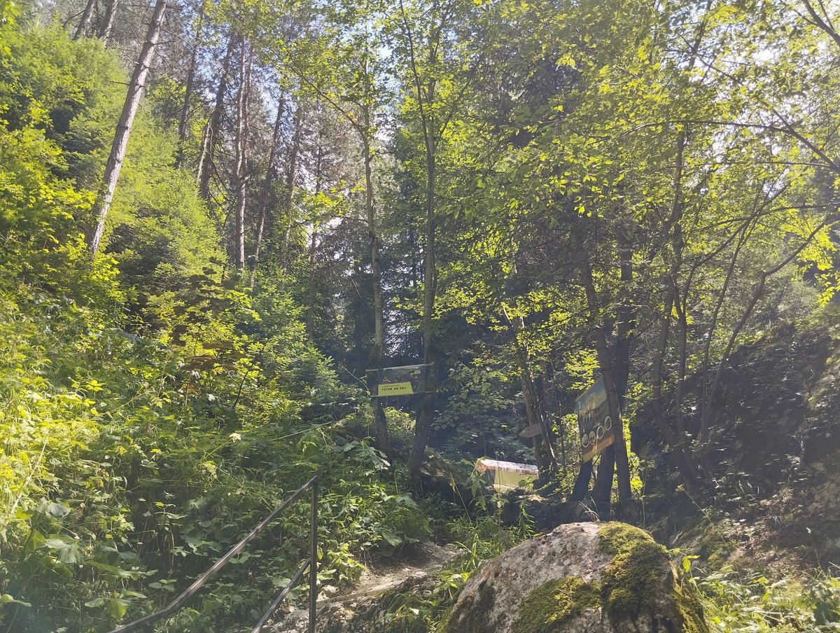 Kristopherious's tweet image. going home tomorrow here's media