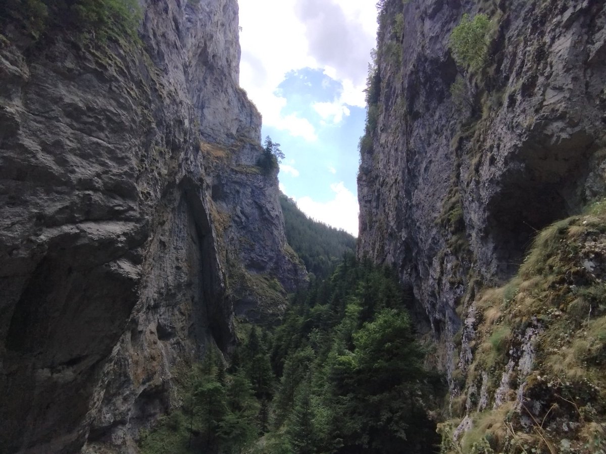 Kristopherious's tweet image. going home tomorrow here's media