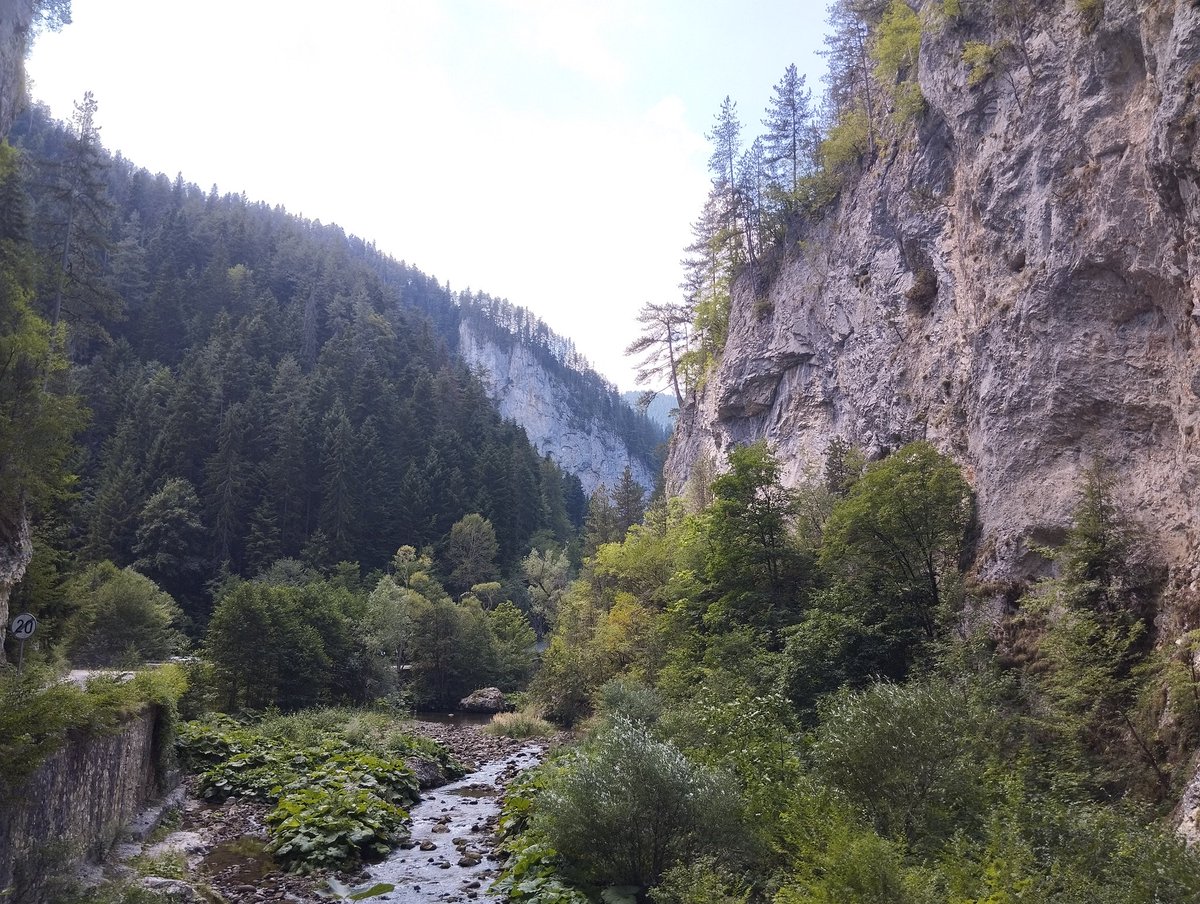 Kristopherious's tweet image. going home tomorrow here's media