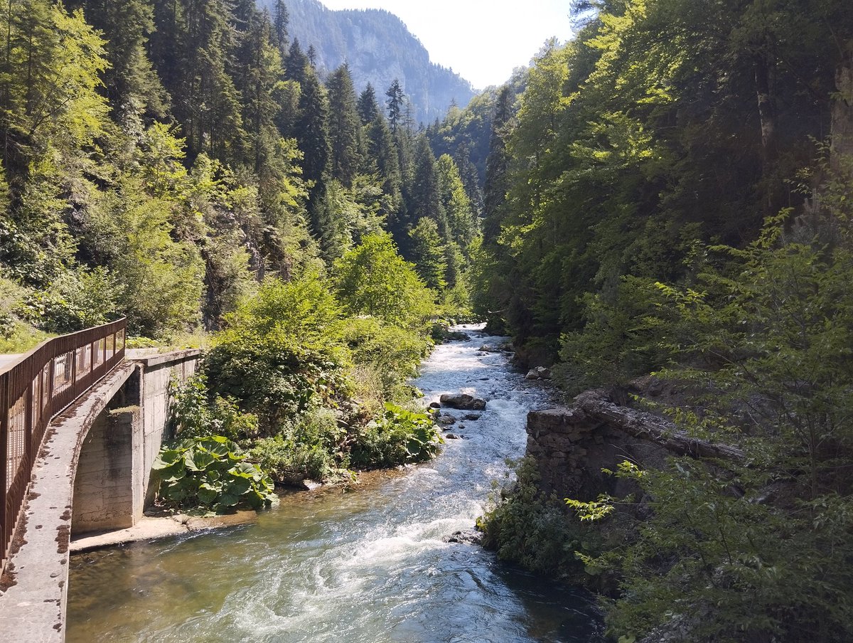 Kristopherious's tweet image. going home tomorrow here's media