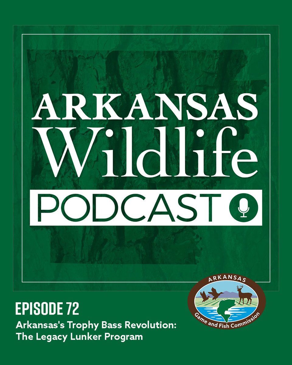 Arkansas Game and Fish Commission (@argameandfish) on Twitter photo 🎙️ Arkansas Wildlife Podcast Episode 72- Arkansas's Trophy Bass Revolution: The Legacy Lunker Program
🎧 bit.ly/4mK7fKl 🎙️ Arkansas Wildlife Podcast Episode 72- Arkansas's Trophy Bass Revolution: The Legacy Lunker Program
🎧 bit.ly/4mK7fKl