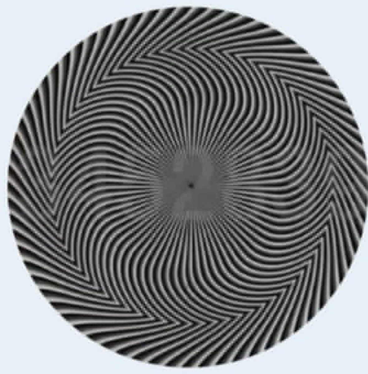 ᶜᵒᵐᵐᵉᶰᵗᵃʳʸ John F. Kennedy Jr. tweet media