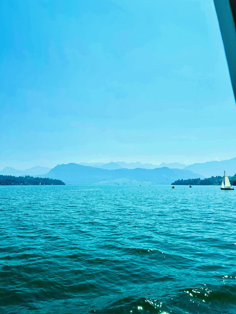 Never Down tweet media