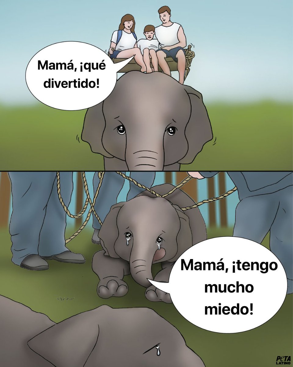 Las vacaciones de tu familia no deberían ser un infierno para ellos 🐘

Ese "divertido" paseo en elefante fue pagado con una vida entera de cadenas, miedo y sufrimiento. Deja las atracciones con animales fuera de tus planes de vacaciones. #WorldElephantDay