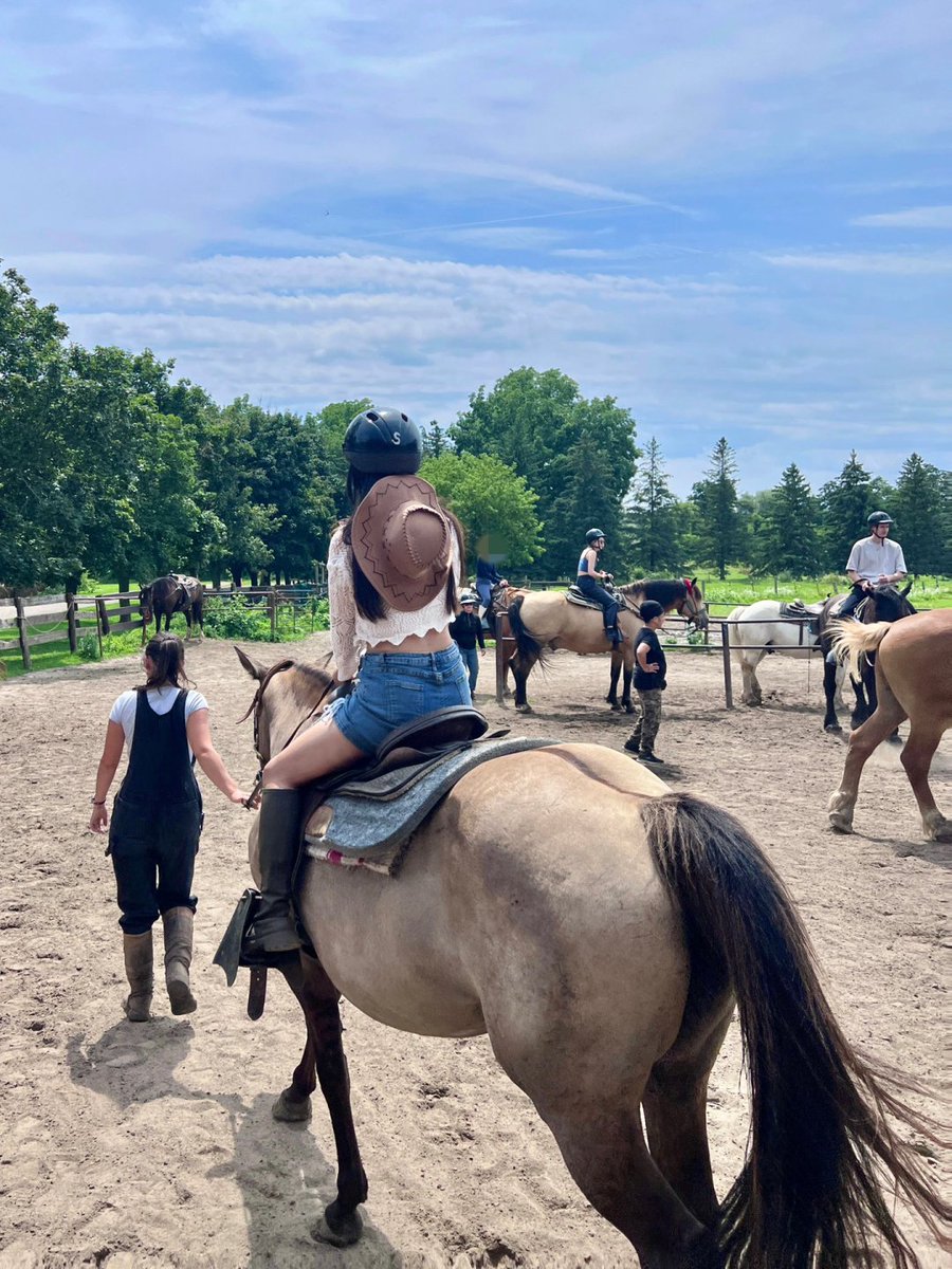 _al511otibi's tweet photo. Galloping into serenity, one stride at a time 🌿🐎 https://t.co/xzfQkxKOpc