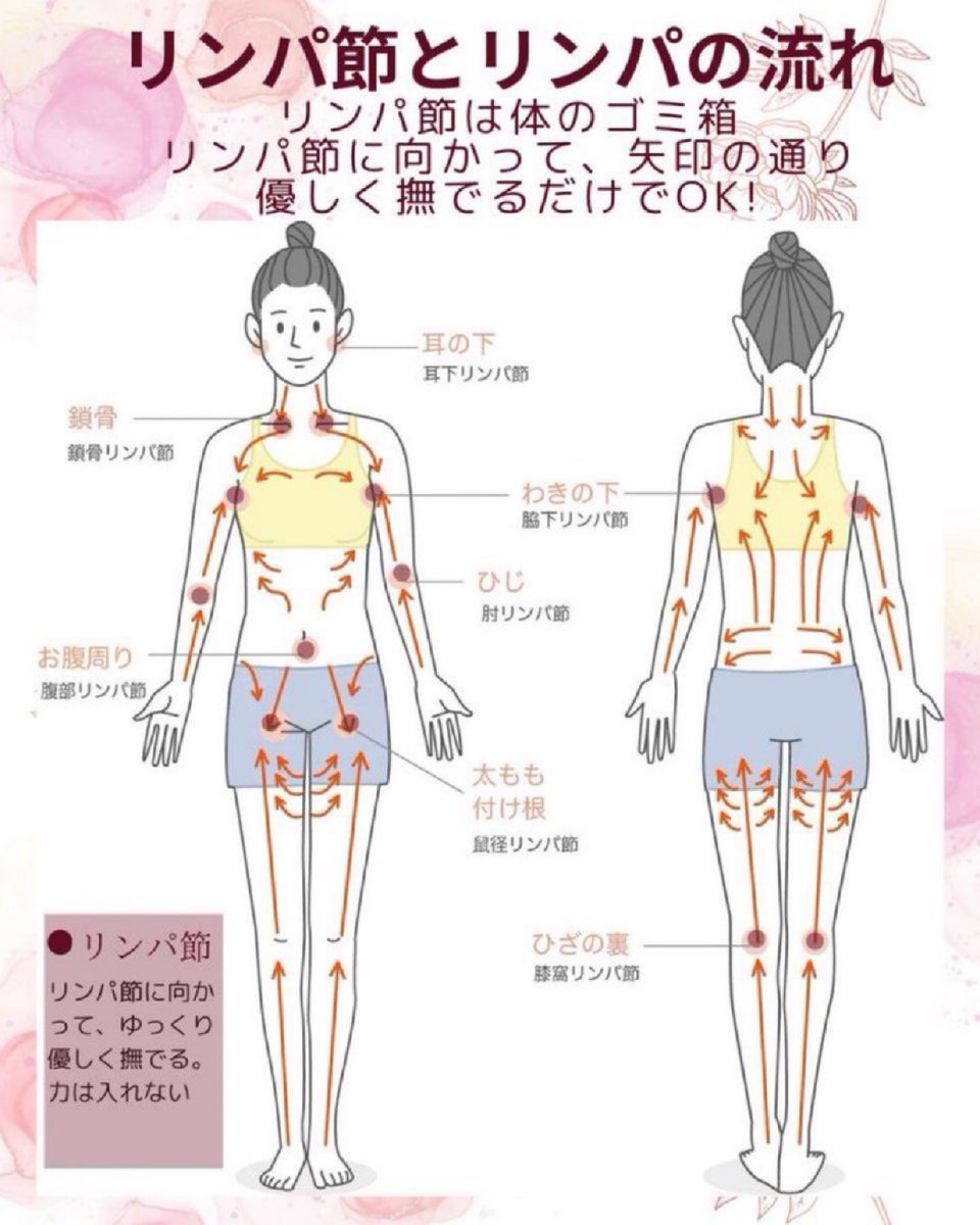 誰でもできる1番簡単なリンパの流し方は、リンパのゴミ箱(リンパ節)に向かって体のゴミを運ぶイメージで、優しく矢印のとおりに撫でてね