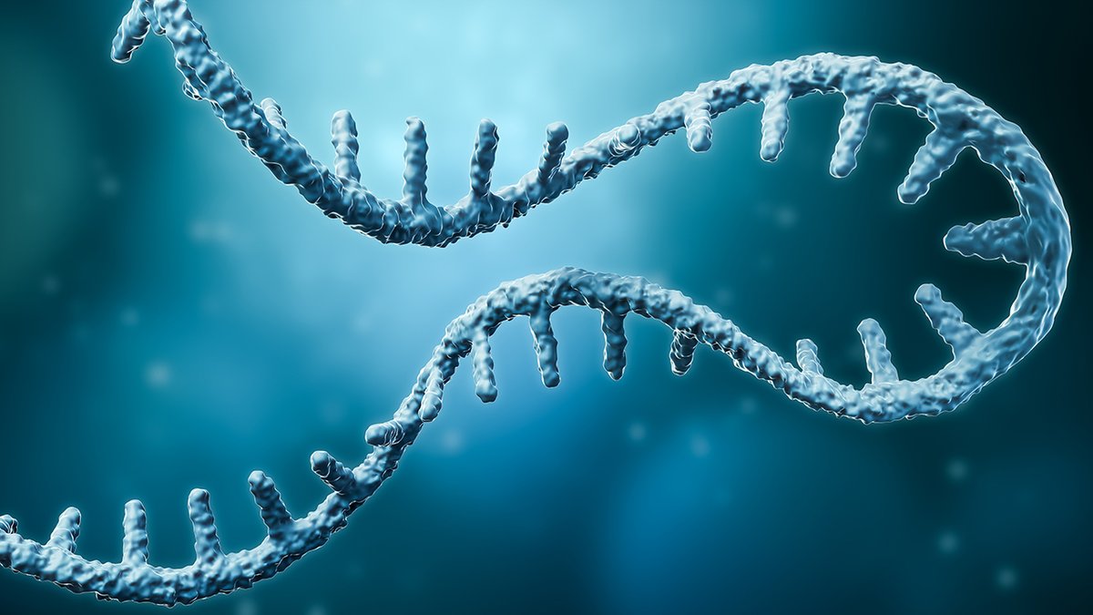 Cornell's tweet photo. Researchers in @CornellEng and @CornellCALS developed machine-learning models that can sift through this cell-free RNA and identify key biomarkers for myalgic encephalomyelitis, also known as chronic fatigue syndrome (ME/CFS).

The approach could lead to the development of diagnostic testing for a debilitating disease that has proved challenging to confirm in patients because its symptoms can be easily confused with those of other illnesses.

More at https://t.co/hOWFotJZGM.