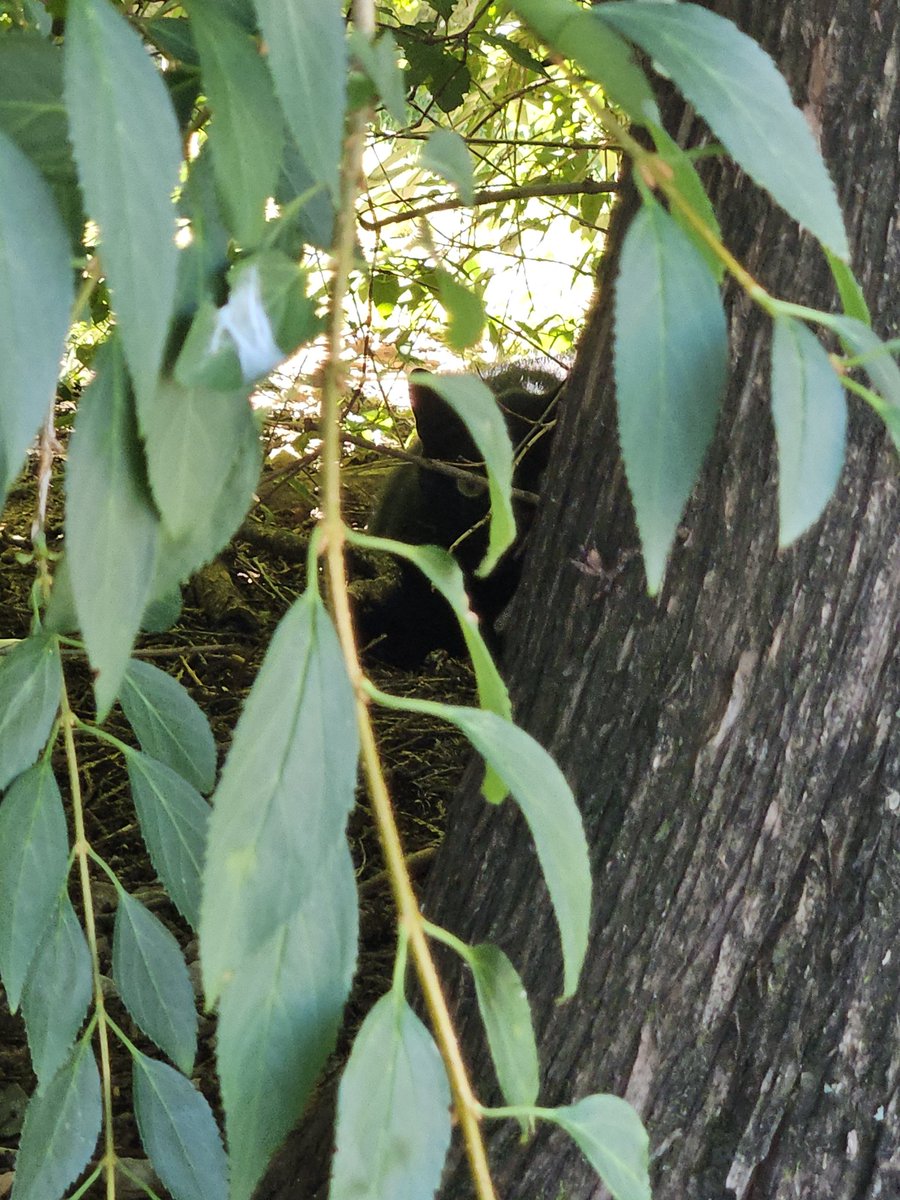 sneaky sneaky <a href="/conzmoleman/">Warren Commission Test Skull</a>