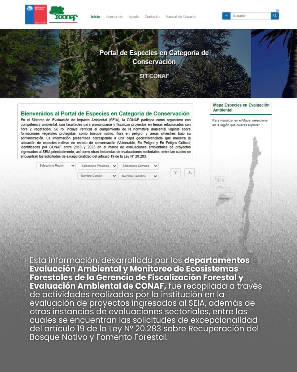 💻𝗖𝗢𝗡𝗔𝗙 𝗶𝗻𝗰𝗼𝗿𝗽𝗼𝗿𝗮 𝗲𝗻 𝘀𝘂 𝗽𝗹𝗮𝘁𝗮𝗳𝗼𝗿𝗺𝗮 𝗶𝗻𝗳𝗼𝗿𝗺𝗮𝗰𝗶𝗼́𝗻 𝘀𝗼𝗯𝗿𝗲 𝗲𝘀𝗽𝗲𝗰𝗶𝗲𝘀 𝗲𝗻 𝗰𝗮𝘁𝗲𝗴𝗼𝗿𝗶́𝗮 𝗱𝗲 𝗰𝗼𝗻𝘀𝗲𝗿𝘃𝗮𝗰𝗶𝗼́𝗻.

La institución publicó una nueva base de datos en el sitio web del Sistema de Información Territorial