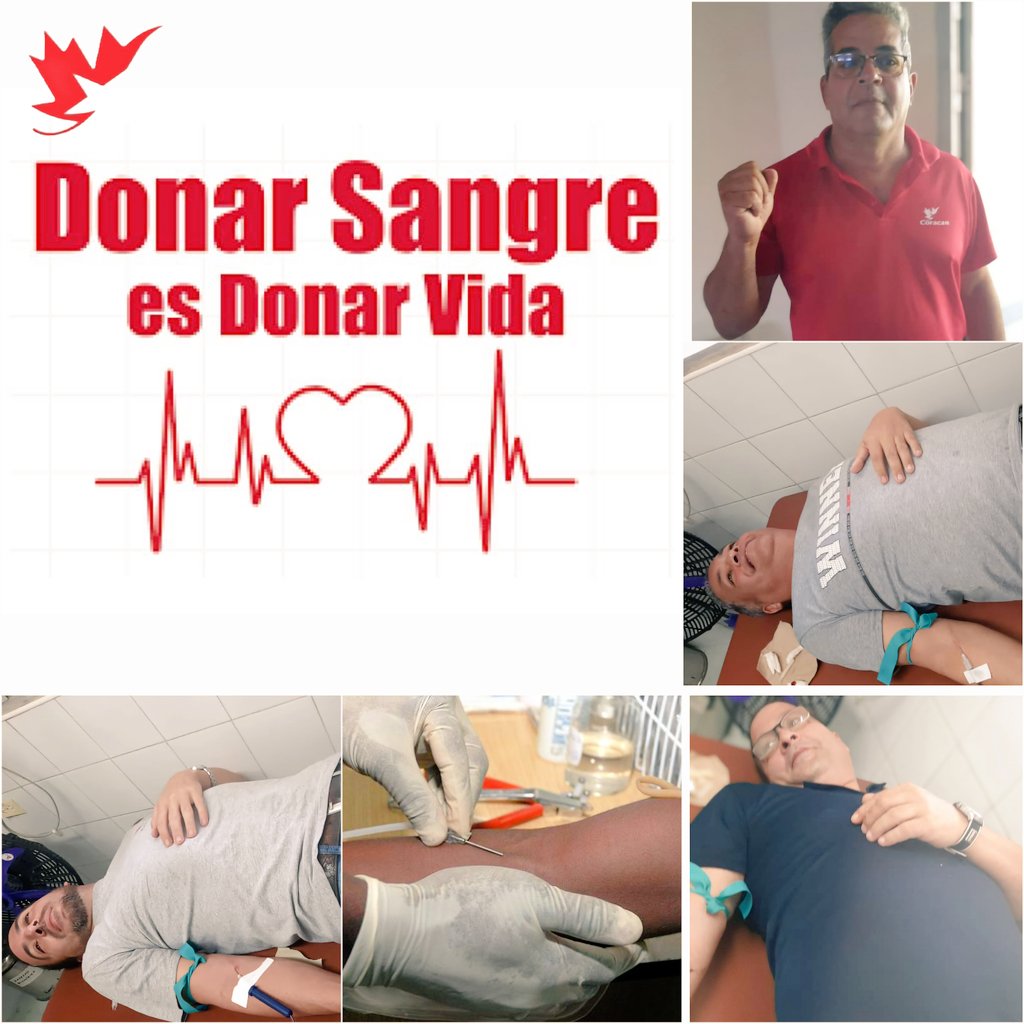 “No se puede medir ni en millones, ni en dinero, lo que significa una donación de sangre”.
✍️🏻#Fidel
Hoy, donantes voluntarios de <a href="/Coracan_SA/">Empresa Mixta Coracan S.A.</a> demostraron esa verdad con generosidad y compromiso. ¡Gracias por salvar vidas! #DonaciónDeSangre #HeroesAnónimos
#CompromisoSocial