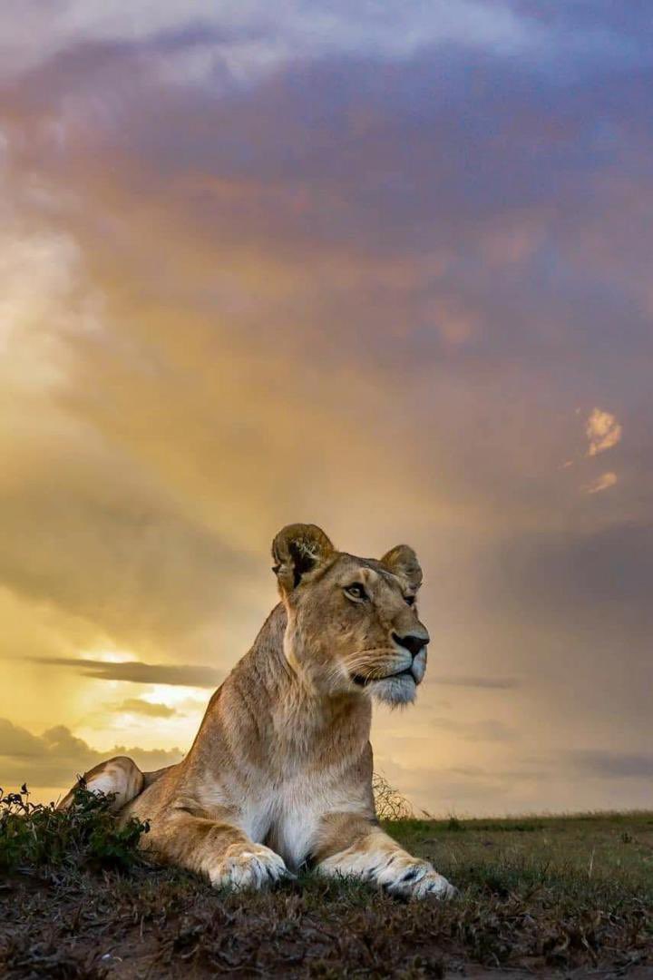 Darpan Seth tweet media