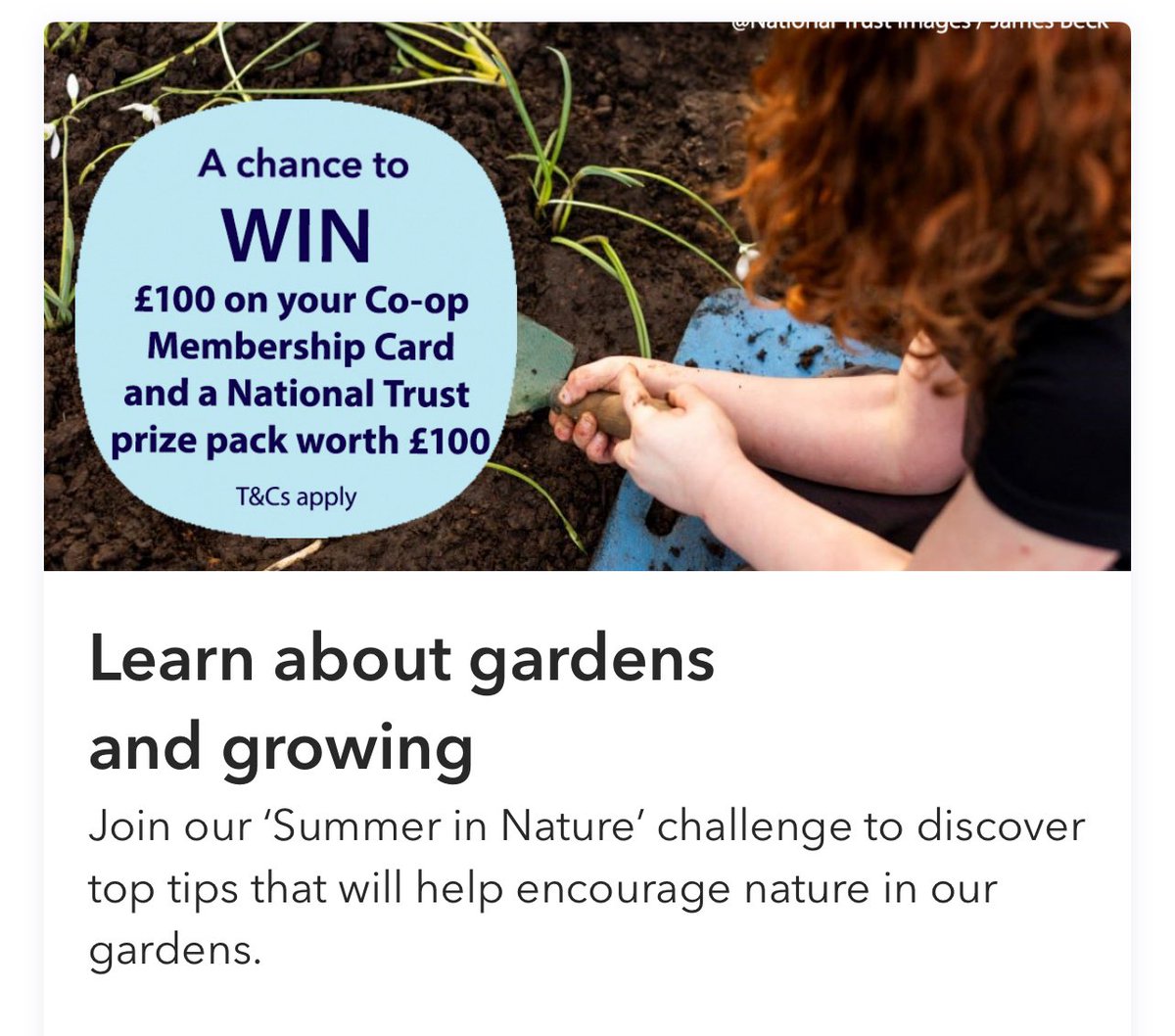 Joan Ferguson tweet media