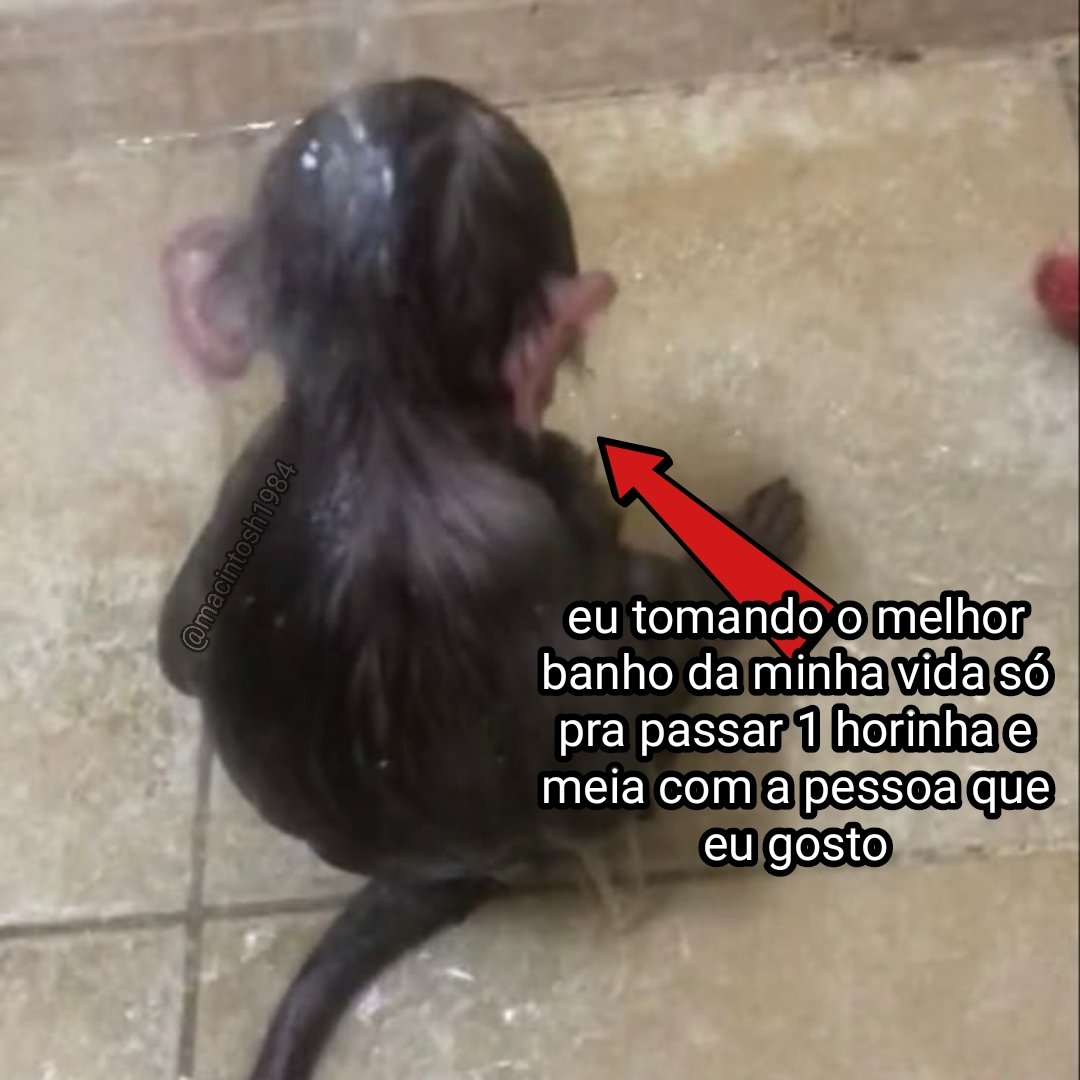 Macintosh tweet media