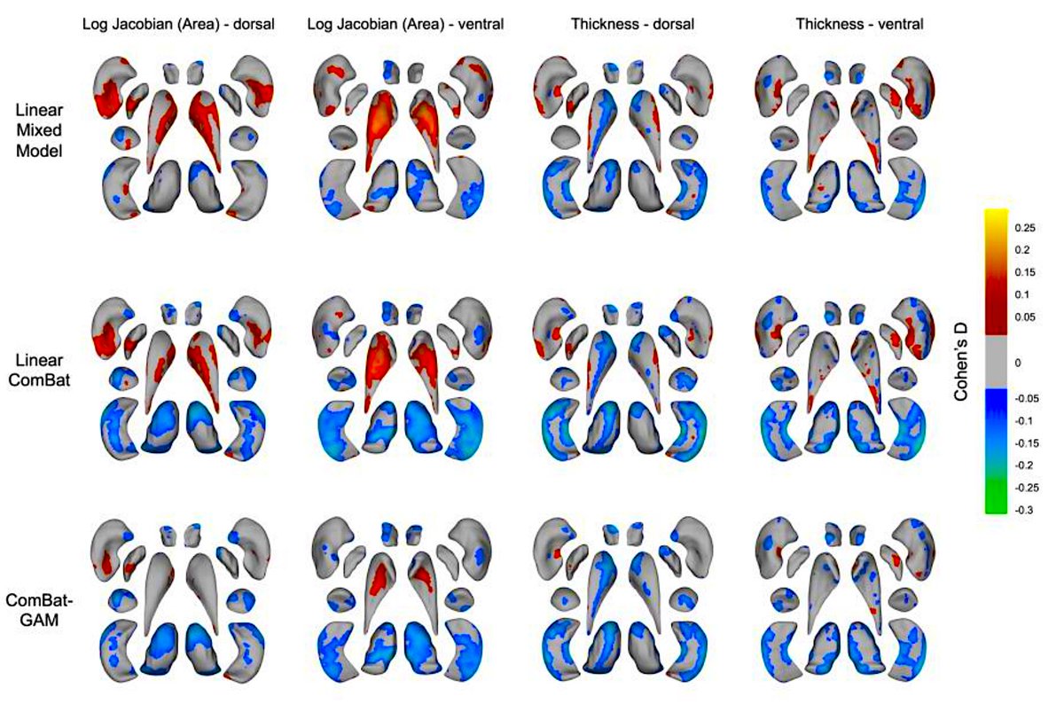 🔥BEAUTIFUL IN-DEPTH analysis of the BIPOLAR BRAIN [1], led by <a href="/Yanghee_Im/">yanghee Im</a> in Chris Ching's lab, + bipolar disorder experts from 64 worldwide sites 
🧠Surface-based toolkit -&gt; Deep mapping of subcortical brain structure (N=3,373 people, 14 sites), w. interactive visualizations
🔥